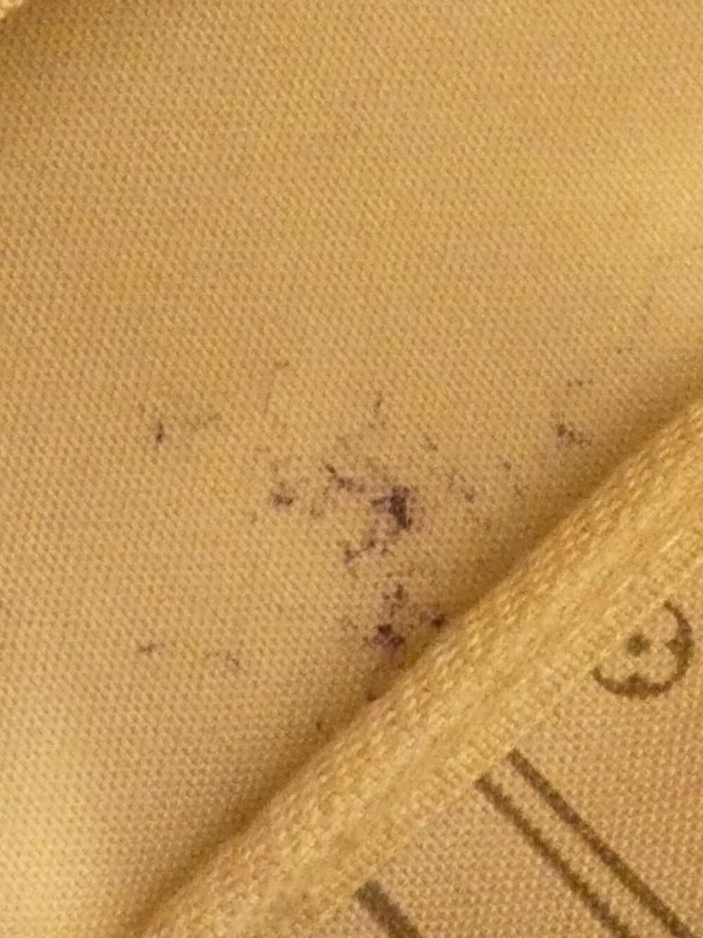 Louis Vuitton Monogram Neverfull PM - Picture 8 of 8